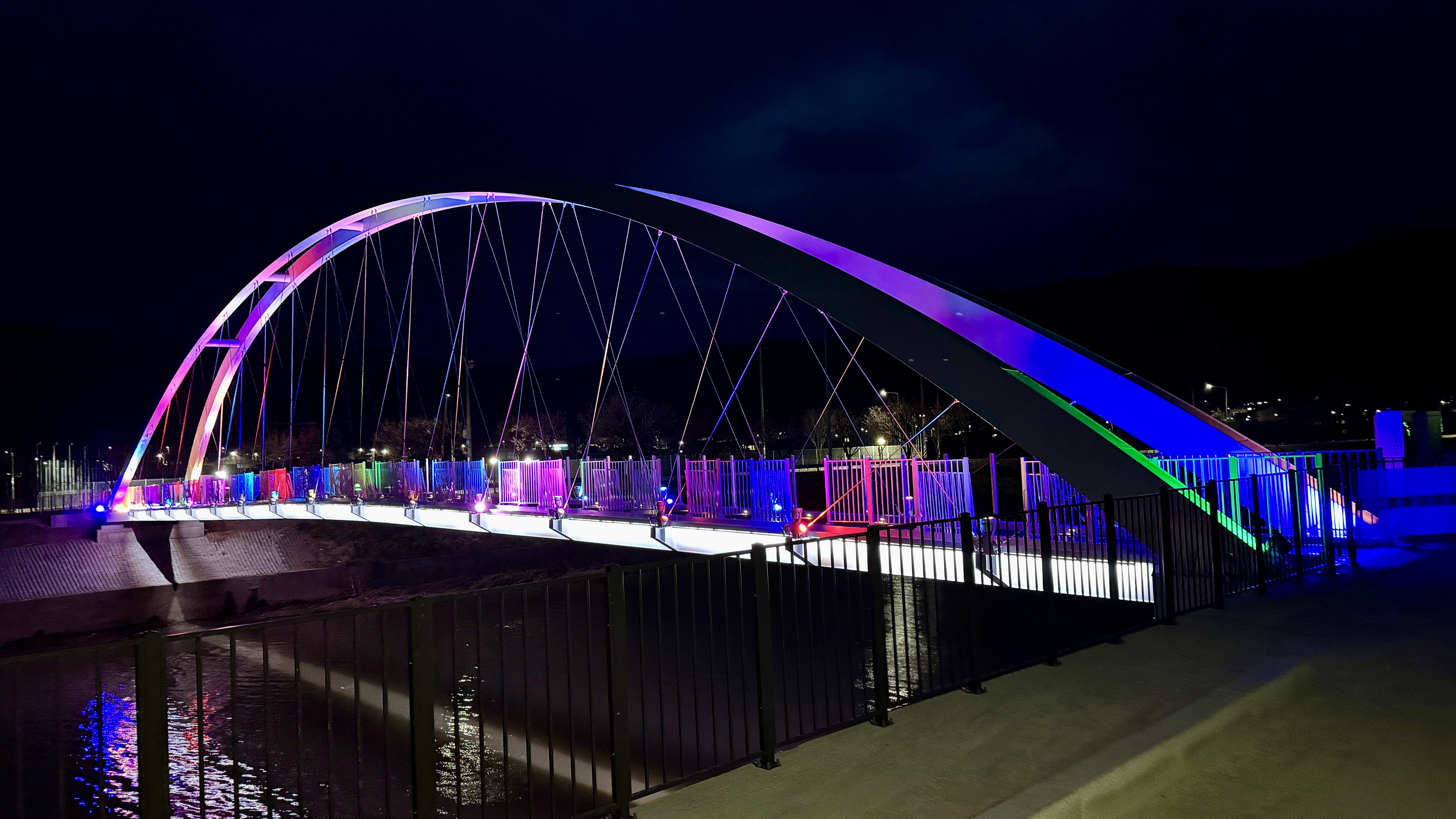 대교천인도교조명 (4).jpg